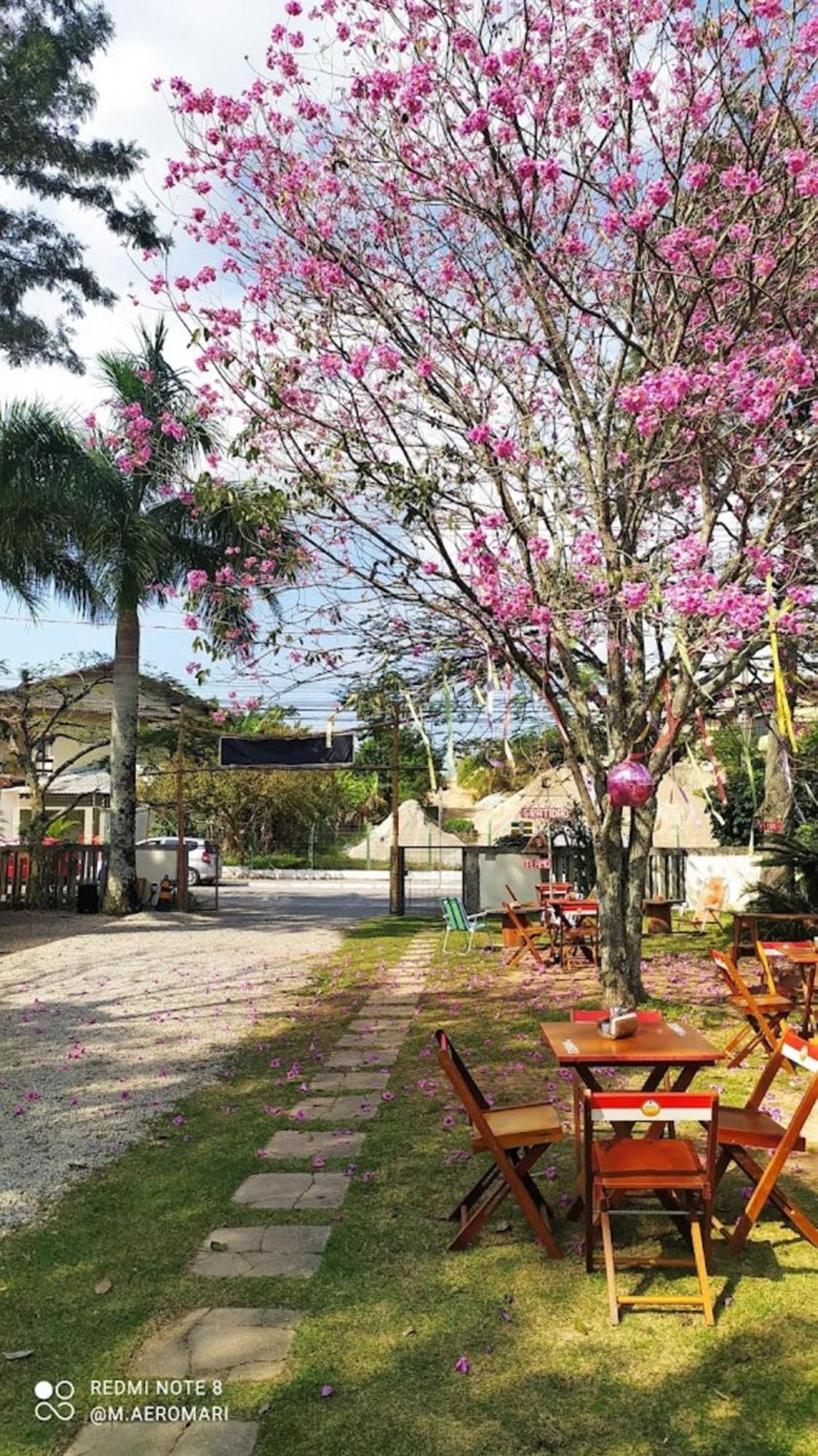 Nomades Vibe Da Ilha - Adventure Hostels & Coworking フロリアノポリス エクステリア 写真